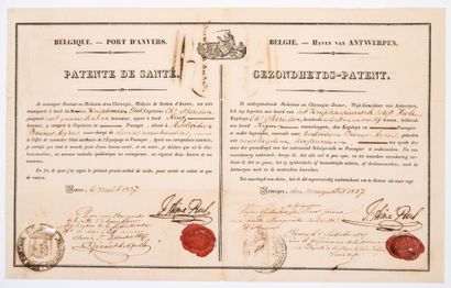 null BELGIUM. HEALTH PATENT issued by the PORT OF ANTWERP (Belgium) to go to MONTÉVIDÉO...