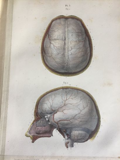 null HIRSCHFELD : Névrologie. In-4 demi-chagrin mauve d’ép., dos lisse orné (légères...