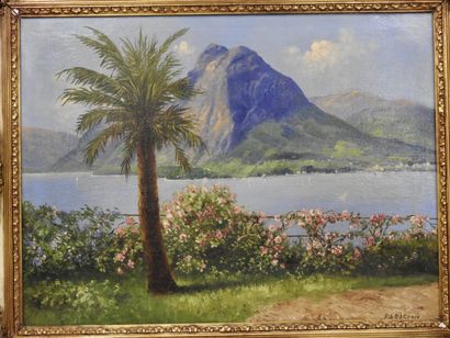 null Parisili 

Lac 

Huile sur toile signée en bas à droite 

60 x 81 cm