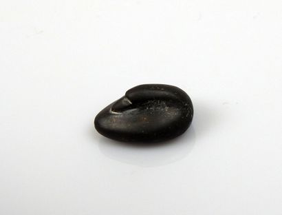 null Poids en forme de canard

Hématite 2.2 cm

Probablement antique