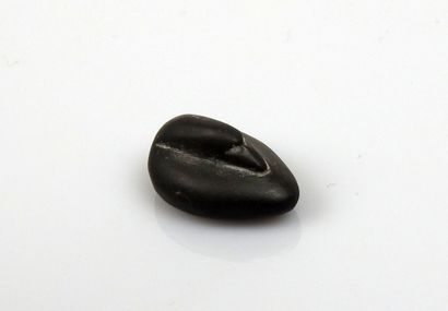 null Poids en forme de canard

Hématite 2.2 cm

Probablement antique
