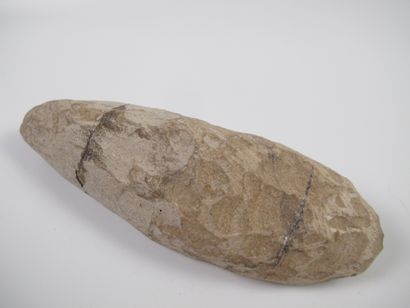 null Fossil fish (Rhacolepis buccalis). Limestone nodule. L 16.5 cm. As is (broken...