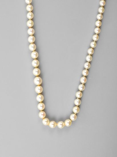 null Long necklace of beautiful pearls Akoïa, length 66 cm, clasp in yellow gold...