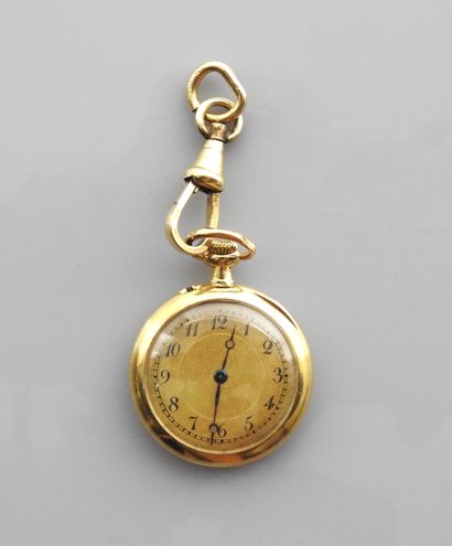 null Flat collar watch in yellow gold, 750 MM, gold bottom, horse head hallmark,...