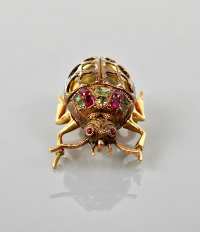 null 
Surprising brooch drawing a gold chafer, yellow gold 750MM , openwork and cloisonné...