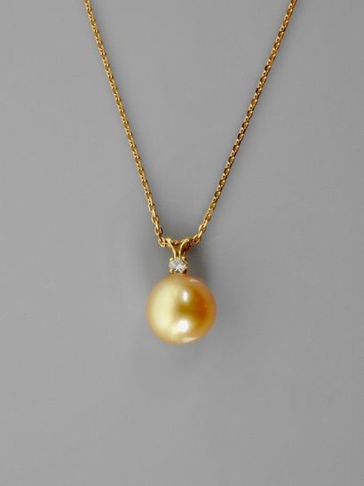 null Yellow gold chain and pendant, 750 MM, set with a pretty gold-coloured South...