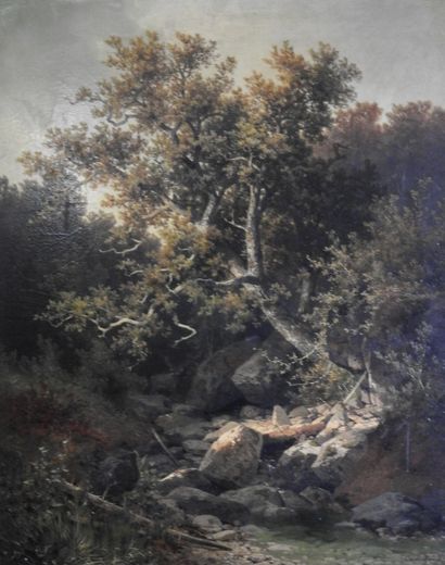 null 
Carl Hasch (1834-1897, Ecole de Barbizon) 

Paysage forestier

Huile sur panneau...