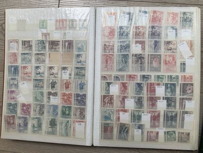 null 2 Binders French Colonies: Morocco + Indochina: Some good stamps + Envelopes...