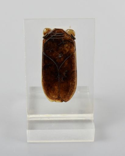null Cicada.jade.Han period.H:5,5cm.