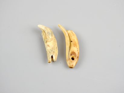 null Deux dents amulettes de loup des cavernes forme fossile du loup.En l’état,dont

manques.Epoque...