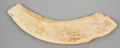 null Decorated stick with a magical function called apotropaion.

Tooth of a hippopotamus,...