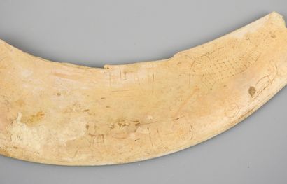 null Decorated stick with a magical function called apotropaion.

Tooth of a hippopotamus,...