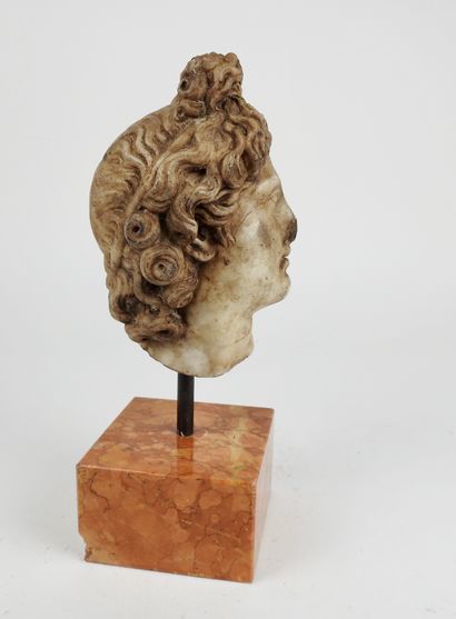 null Head of the God Apollo in marble

Hair with knotted features characteristic...