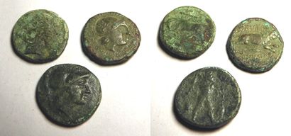 null Trois monnaies grecques en bronze.