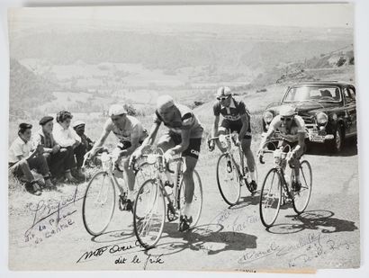 null Cyclisme. Autographes. Tour de France 10. 7. 1959. Unique. Les quatre coureurs...