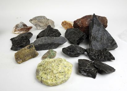null Important lot de minéraux dont fossiles de végétaux