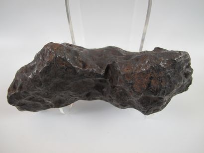 null Importante météorite ferronickel, fragment du «Campo del Cielo». L 16cm. Env....
