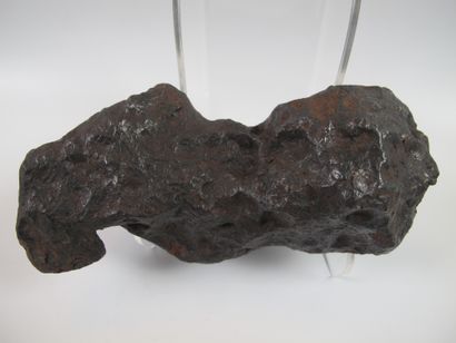 null Importante météorite ferronickel, fragment du «Campo del Cielo». L 16cm. Env....