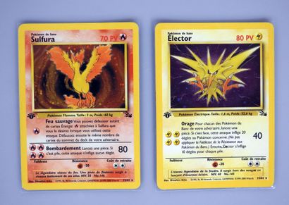 null FOSSILE

Wizards block

Set of two pokemon cards in very good condition in edition...