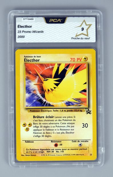 null ELECTHOR Promo

Wizards 23 Block

Pokemon card rated PCA 9