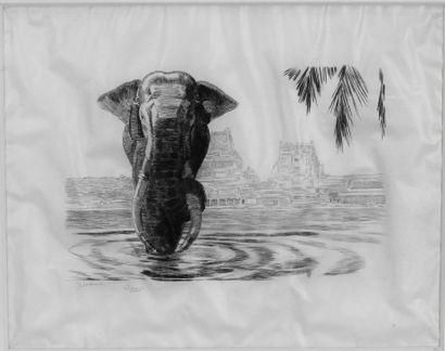 null Paul JOUVE (1878 – 1973)

	« Éléphant de Madura ». Eau-forte sur parchemin (nettoyé).

	Signée...