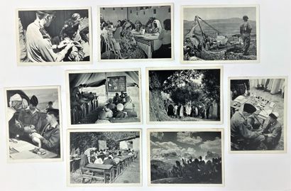  ALGERIA WAR - Rare set of 15 propaganda cards (all different) with correspondence...