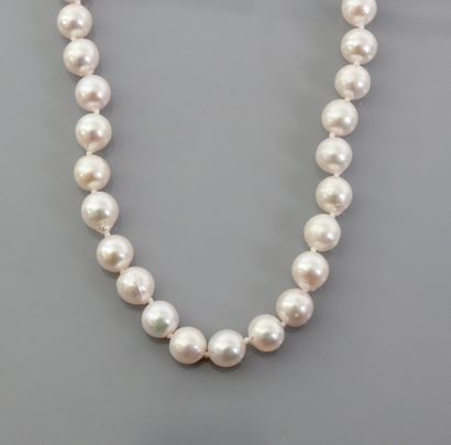 null Sautoir de 105 perles de culture du Japon, ., 8,5 / 9 mm, fermoir gros anneau...