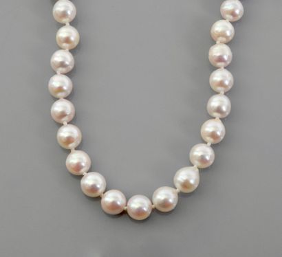 null Collier de perles de culture du Japon, 750 MM, 8,5 / 9 mm, fermoir boule en...