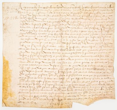 null LOIR-ET-CHER. 1566. Before the Bailiff of BLOIS, Lease of Denis BLANCHARD, Winegrower...