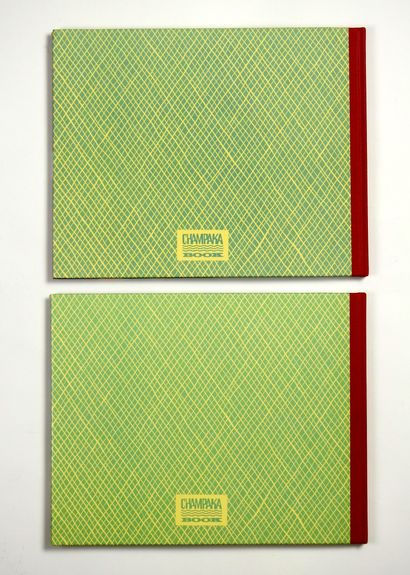 null CHALAND

Coeurs d’Acier

Tirage édité par Champaka en deux volumes