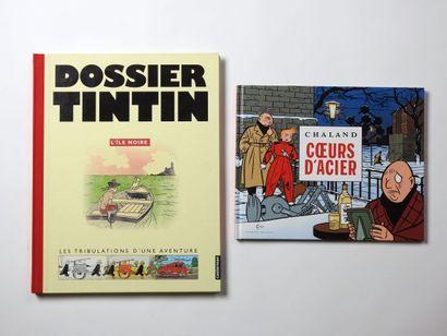 null HERGE

Dossier Tintin l’île noire les tribulations d’une aventure en très bel...