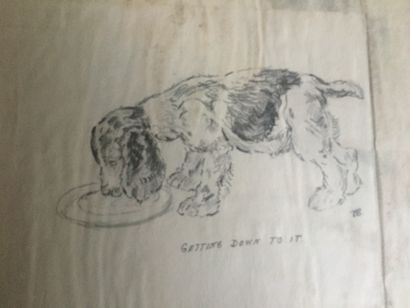 null BARKER (K.F.): Just Pups. Sketches in Pen & Pencil. London, Country Life LTD,...