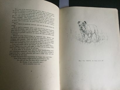 null BARKER (K.F.): Just Pups. Sketches in Pen & Pencil. London, Country Life LTD,...