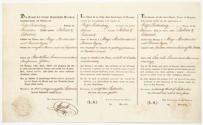 null GERMANY. PATENT OF HEALTH issued by the Senate of the Hanseatic City of BREMEN...
