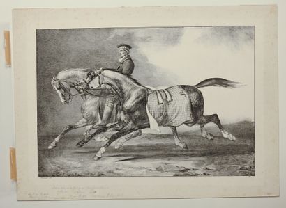 Théodore GERICAULT

Deux chevaux gris pommelés...