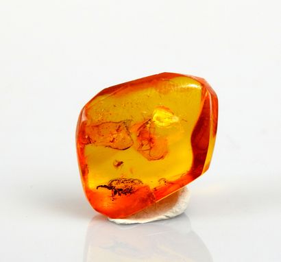null Piece of amber with an insect inclusion


2.3 cm


Amber from the Baltic, several...