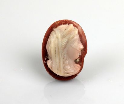 null Cameo representing a woman wearing a veil


Polished stone 3.6 cm


Modern ...