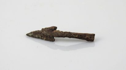 null Bronze arrowhead.


Greek or Roman period.


L :4,5cm.