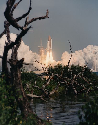 null NASA. Space Shuttle DISCOVERY (Mission STS- 85) rises from its launch pad on...