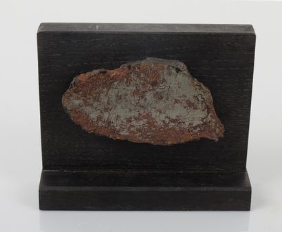 Tranche de météorite sidérite ferreuse.Tombée...
