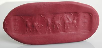 null Cylinder seal with an animal frieze of three winged bulls

Shell columella 2.1...