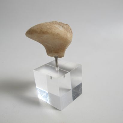 null Triangular head of idol of the Kylia type. Translucent marble. L 3.7cm. H 2.6cm....