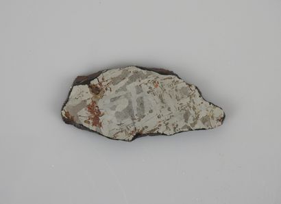 null Siderite meteorite slice, fallen in Diablo Canyon, Arizona. 6cm long.

Certificate...