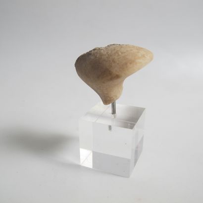 null Triangular head of idol of the Kylia type. Translucent marble. L 3.7cm. H 2.6cm....