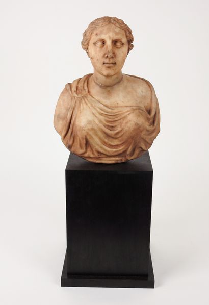 Buste féminin marbre patiné 

Epoque romaine.II-IIIème...