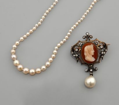 null Lot : Collier de perles fines anneau, anneau à ressort en or gris 750MM, chaînette...