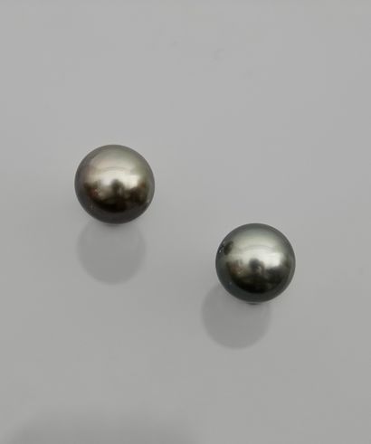 null Boucles d'oreilles en or gris, 750 MM, chacune ornée d'une perle de Tahiti,...