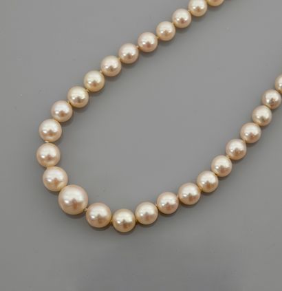 null Collier de perles de culture , 750 MM, fermoir en or gris orné d'une émeraude...