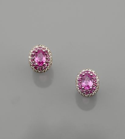 null Earrings in white gold, 750 MM, each centered with a pink sapphire, total 1.30...