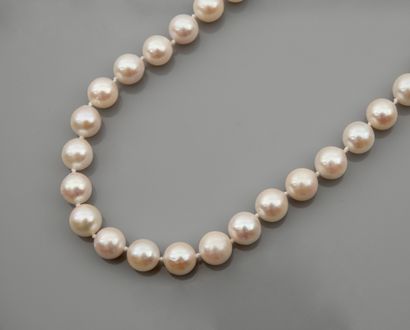 null Collier de perles de culture, diamètre 8,5/9 mm fermoir gros anneau en or gris,...